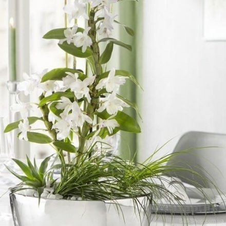 Кашпо для квітів Mirror Silver кераміка 13 дзеркальний 58689