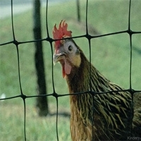 Огородження для птахів